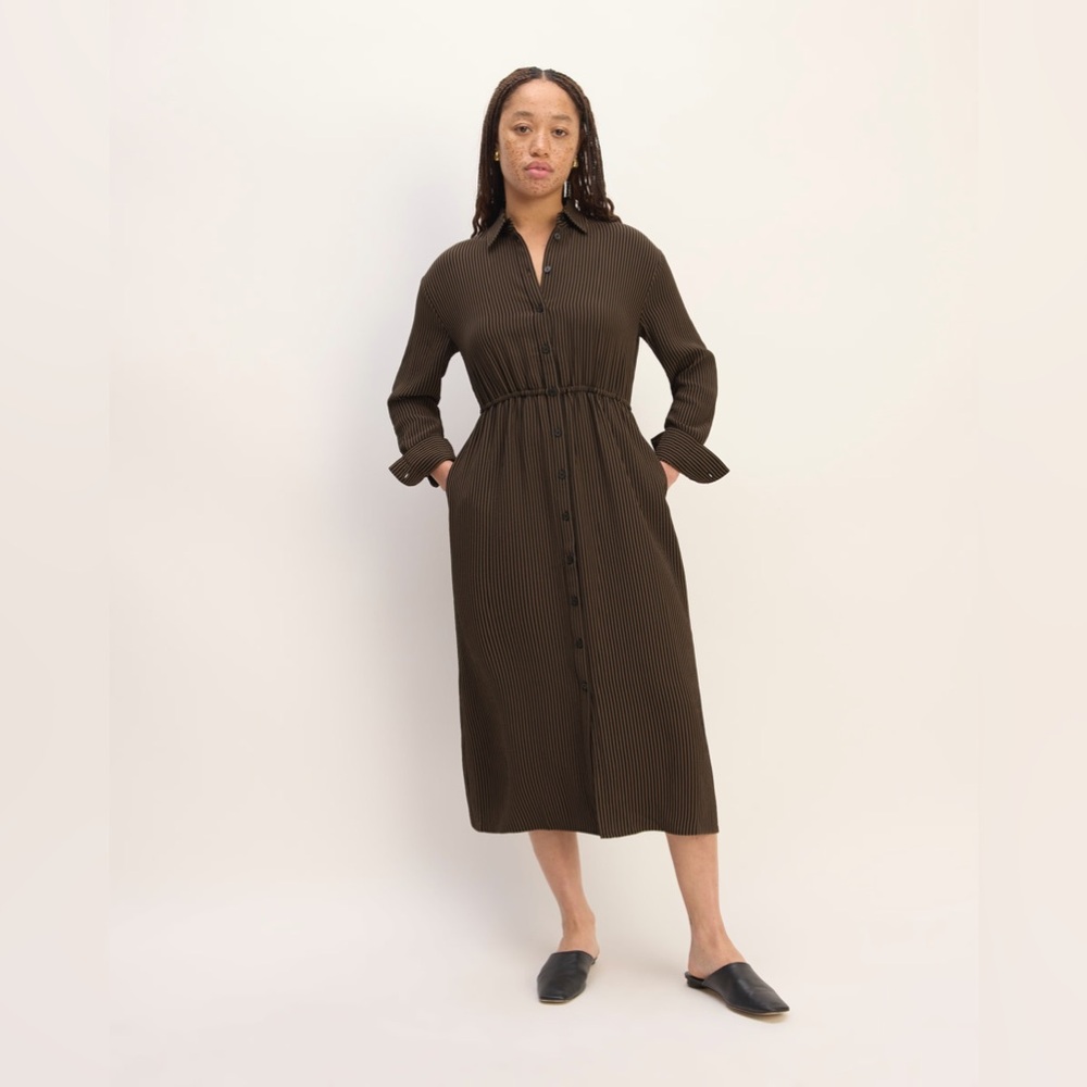 Nwt Everlane The Mini Jacquard Stripe Shirt Dress Xs